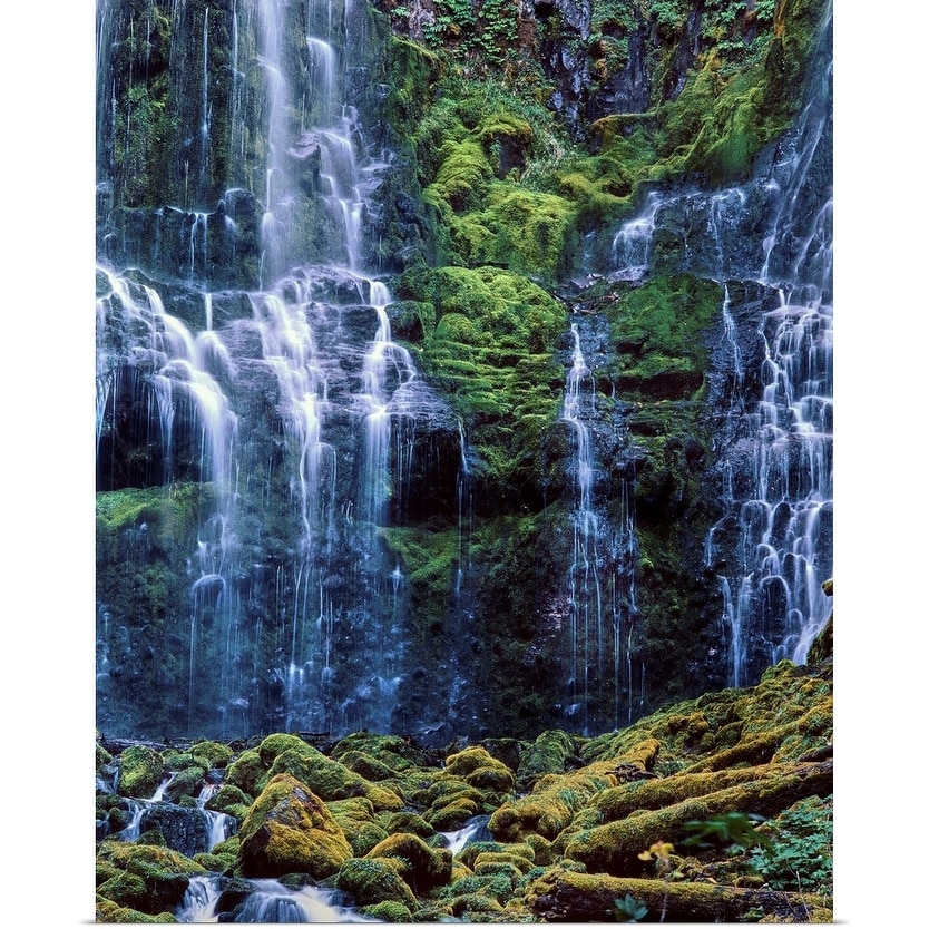 Scenic View Of Lower Proxy Falls Willamette National Forest Oregon Poster Print Overstock Scenic View Of Lower Proxy Falls Willamette National Forest Oregon Poster Print Overstock