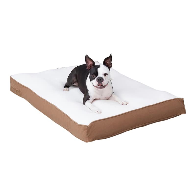 Daisy Deluxe Supportive Pillow Dog Bed - Medium (42"x30") - Latte