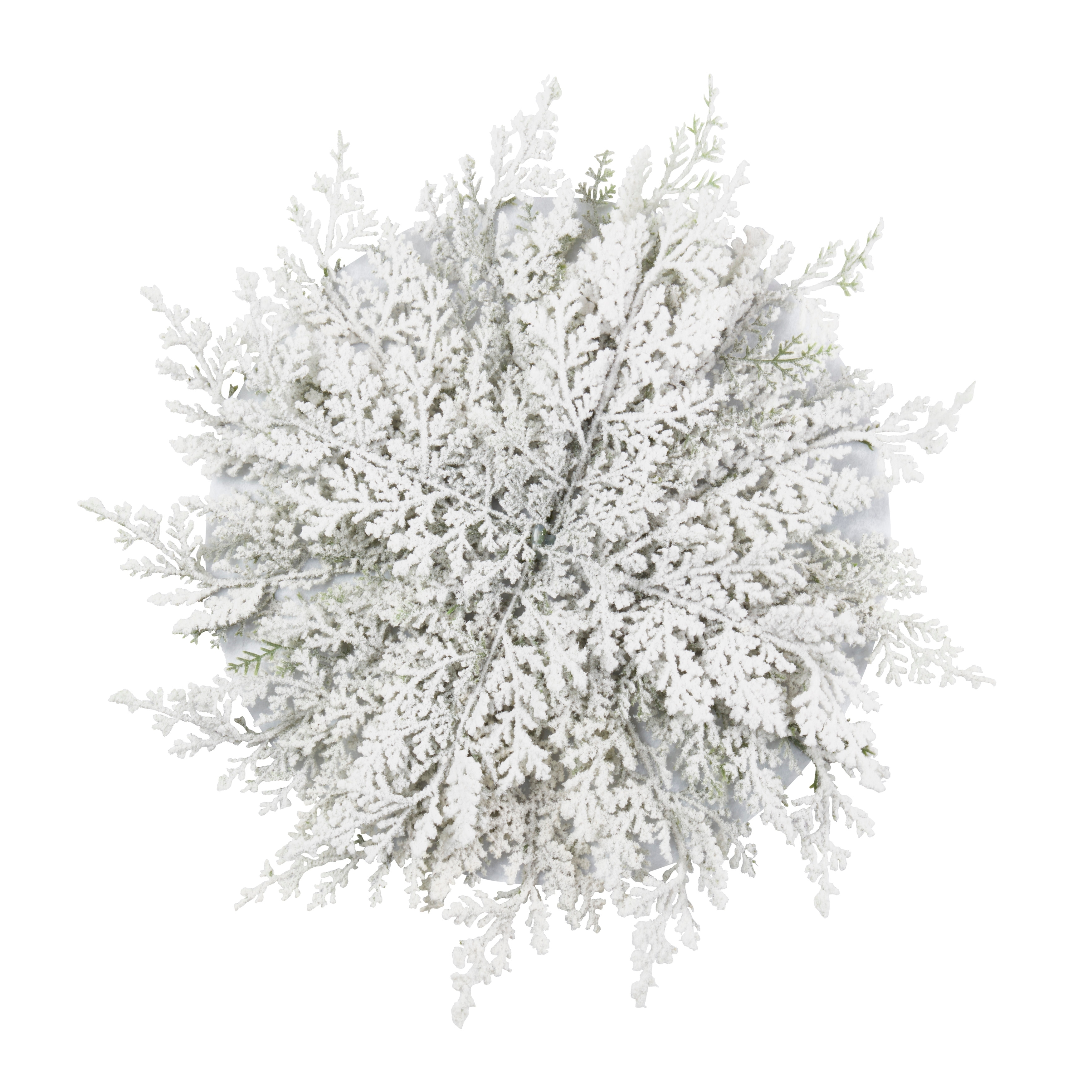 Frosted Pine Placemat (Set of 4) - 16"x16"