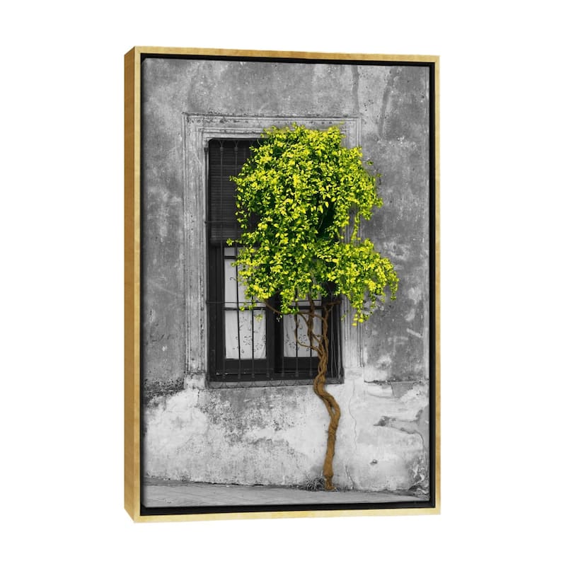 Large Wall Art, Framed Art, Modern Art, Plants, Botanical, by Panoramic Images - Gold