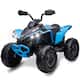 Option Blue