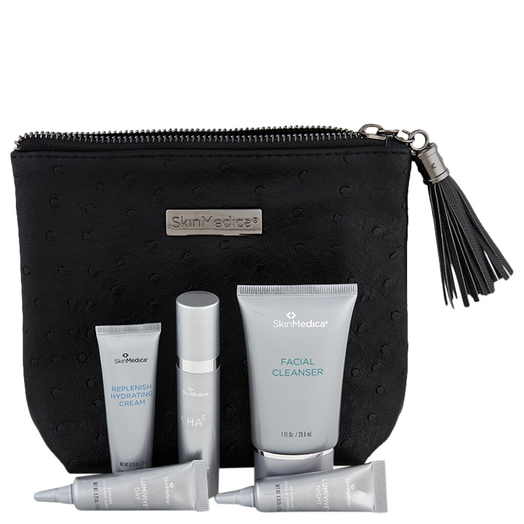 skinmedica travel set
