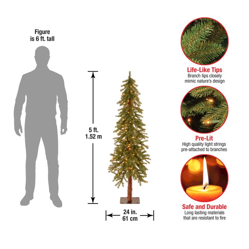 National Tree Company 5 ft. Pre-lit Hickory Cedar Tree with 150 Clear Lights - 5 Foot