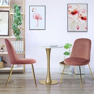 Set of 2 Dining Chairs Mid Century Modern Accent Velvet Upholstered ...