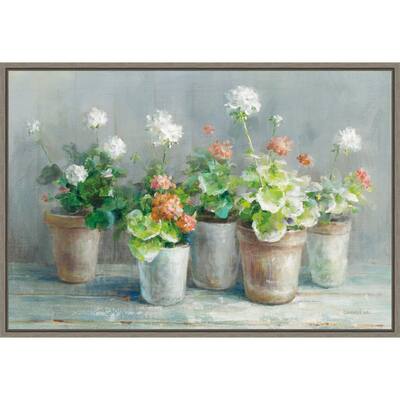 Farmhouse Geraniums in Vases by Danhui Nai Framed Canvas Art