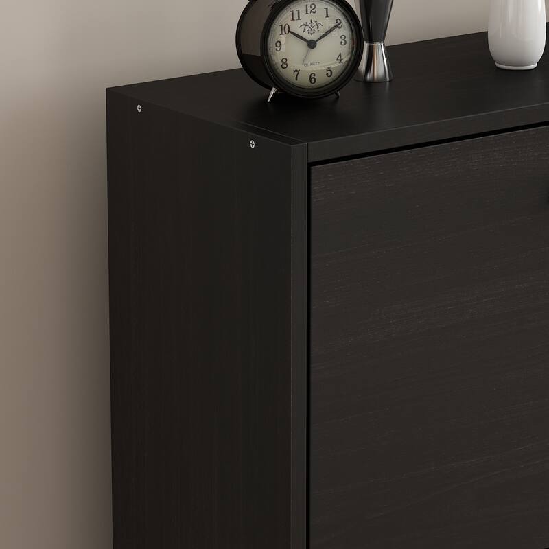 Timechee Black 2-Drawer Shoe Cabinet with 4-Tier Rack (Up to 12 Pairs)