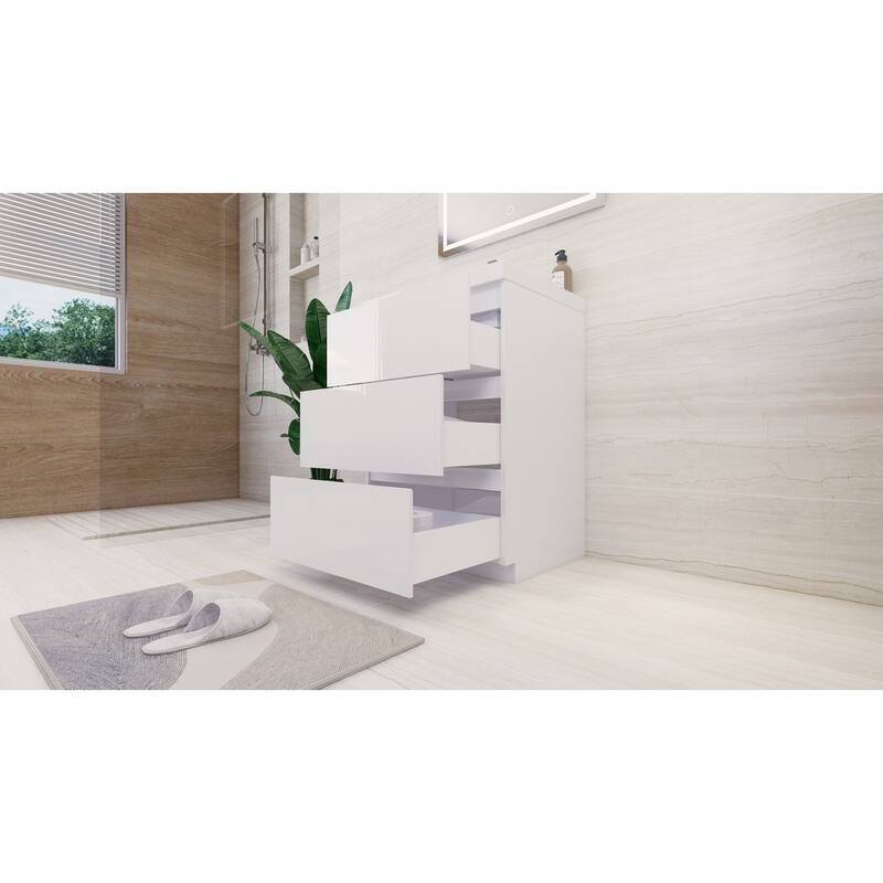 Aron 24'' Freestanding Vanity with Reinforced Acrylic Sink