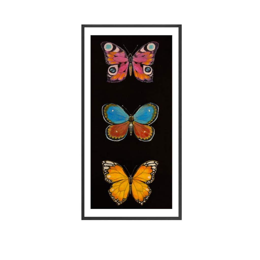 Butterfly Trio I Framed Print Wall Art by Norman Wyatt Jr.