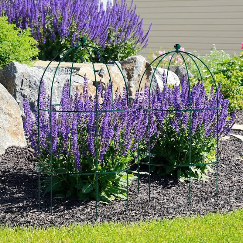 DoCred Garden Trellis for Climbing Plants, Flower Trellises Cages