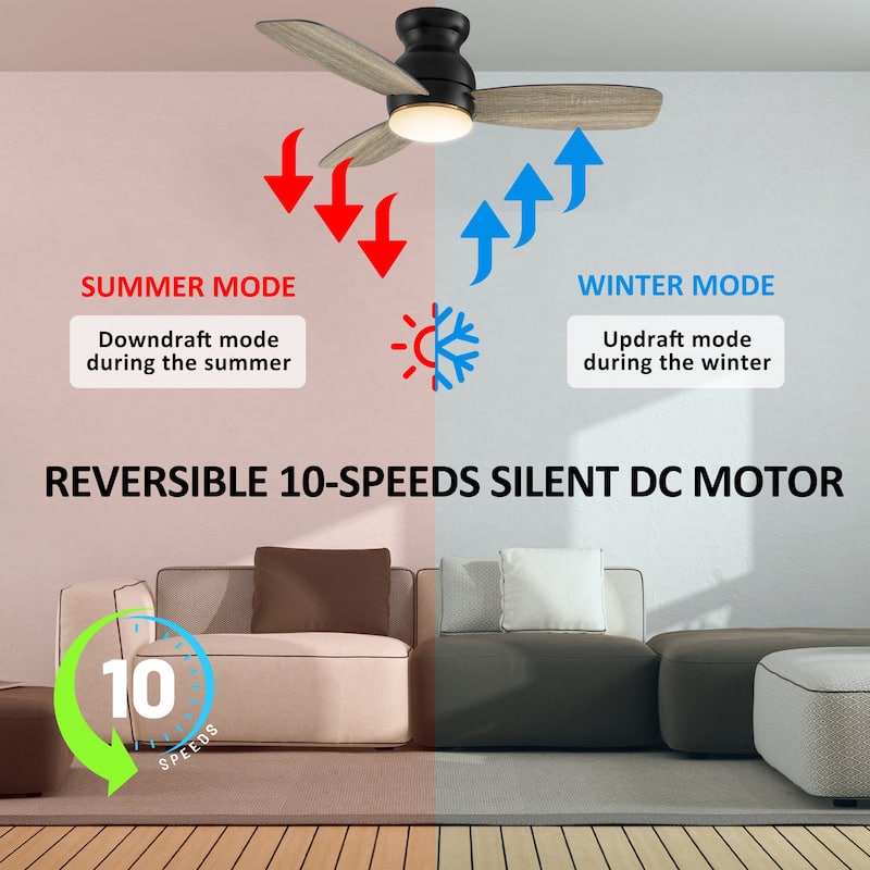 CARRO Quest 44" 3-Blade Smart Ceiling Fan with LED Light Kit and Remote
