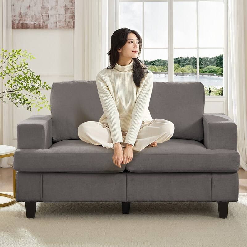 Mixoy W56"Loveseat Sectional Sofa,Chenille Fabric Cloud Sleeper Comfy Upholstered 2-Seater Couches