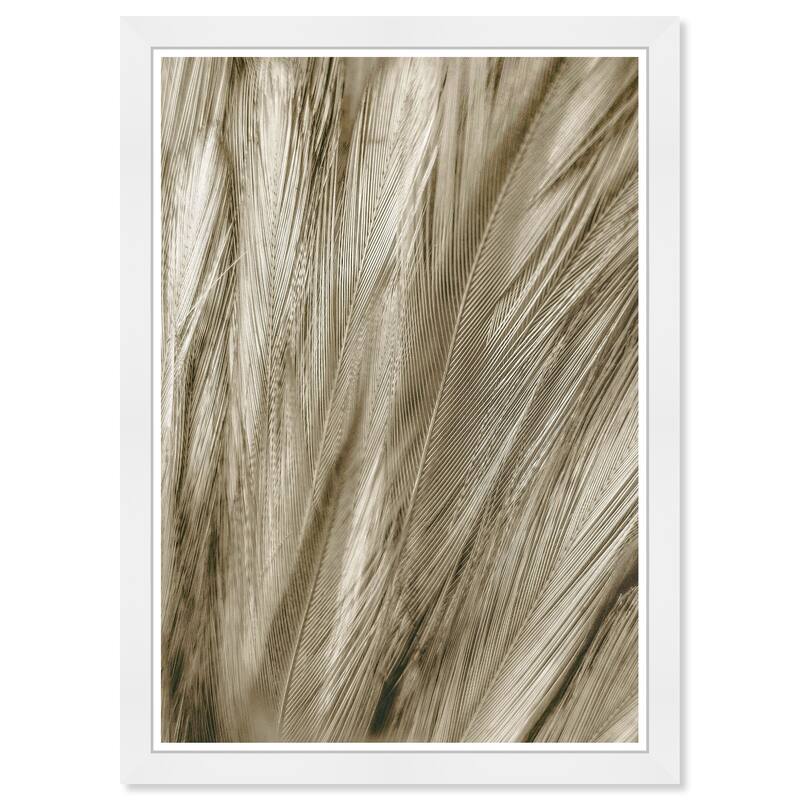 Wynwood Studio Prints Animals Feather Close Up Gold and Metallic Gold Modern & Contemporary Wall Art Canvas Print