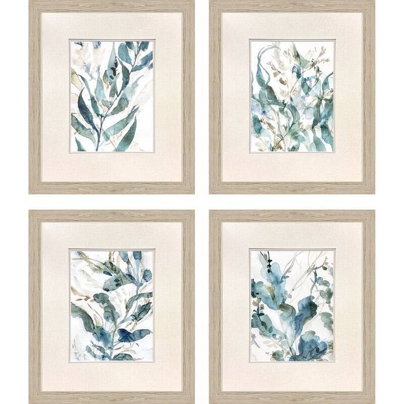 Paragon Underwater Botany Framed Art - Set of 4
