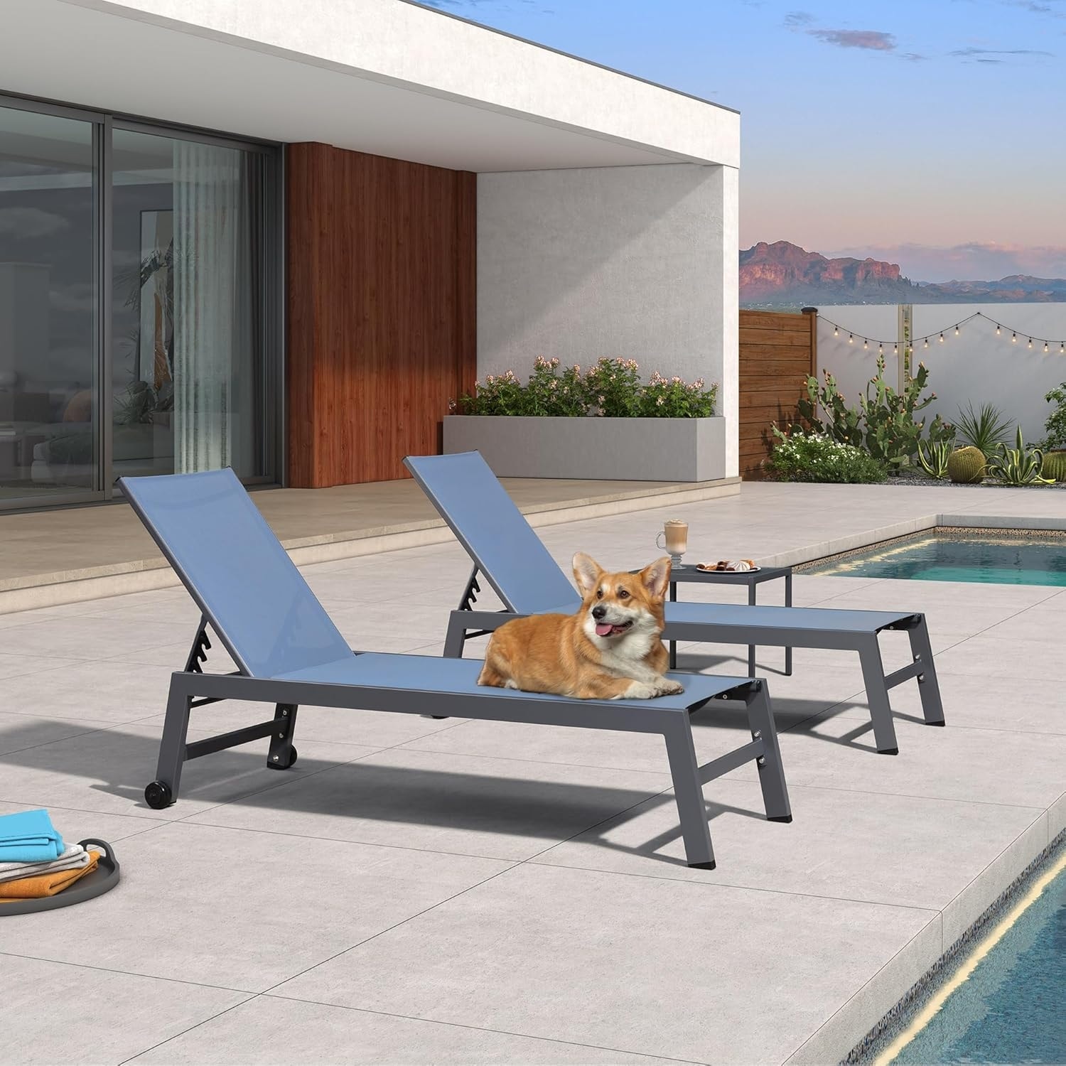 Dog chaise lounger cheap