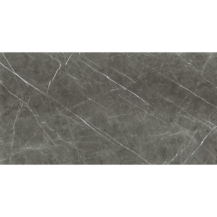 The Tile Life Penthouse 12x24 Porcelain Floor & Wall Tile