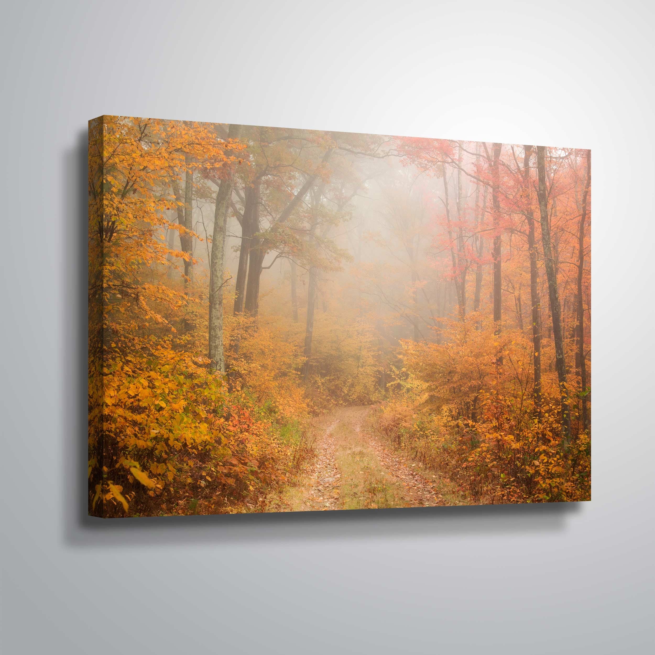 Passing through Gallery Wrapped Canvas Bed Bath  Beyond 31603106