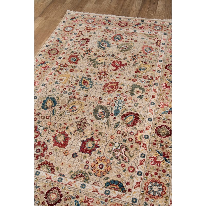 Momeni Lenox Traditional Area Rug.
