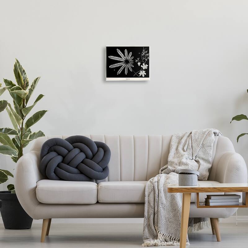 Stupell Ferns & Leaves on Black Wall Plaque Art Design By Phillipa Katz