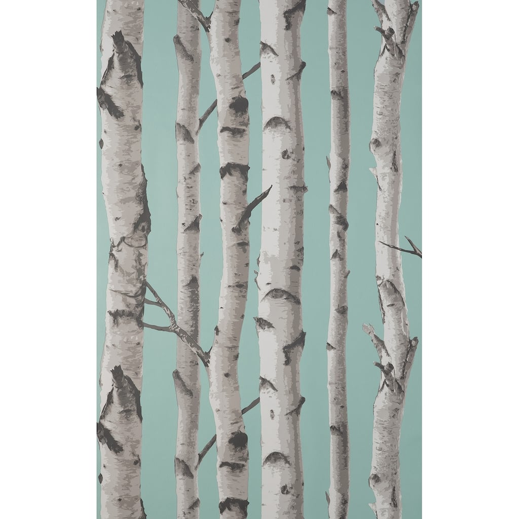 Fine Decor Chester Aqua Birch Trees Wallpaper