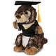 preview thumbnail 1 of 4, DolliBu Standing Marmot Graduation Plush with Gown and Cap with Tassel - 8.5 inches