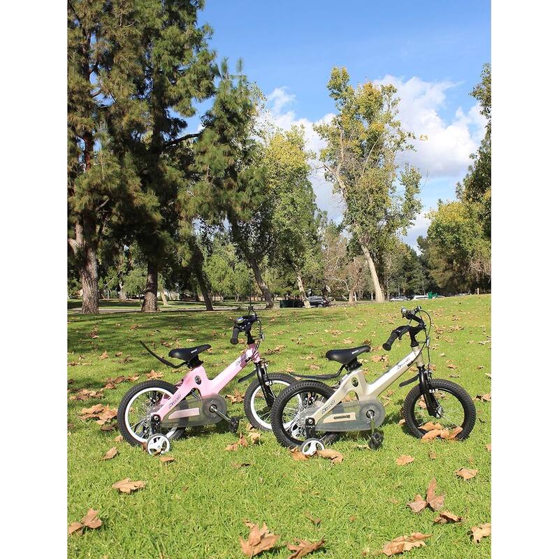 Training Wheel Bike, Kids Bike Boys Girls, BMX Mountain with Dual Disc Brake 12-14-16-18 inch