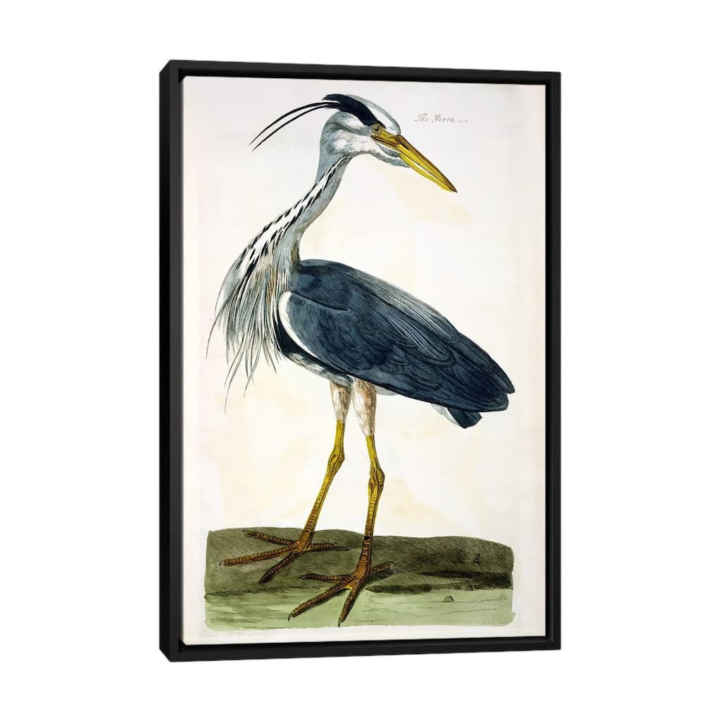 iCanvas "The Heron " by Peter Paillou Framed Canvas Print