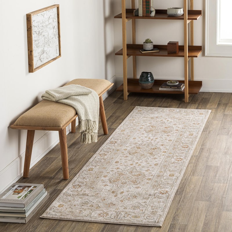 Betty Classic Medallion Area Rug - 2' 7" x 7' 3" - Beige/Orange