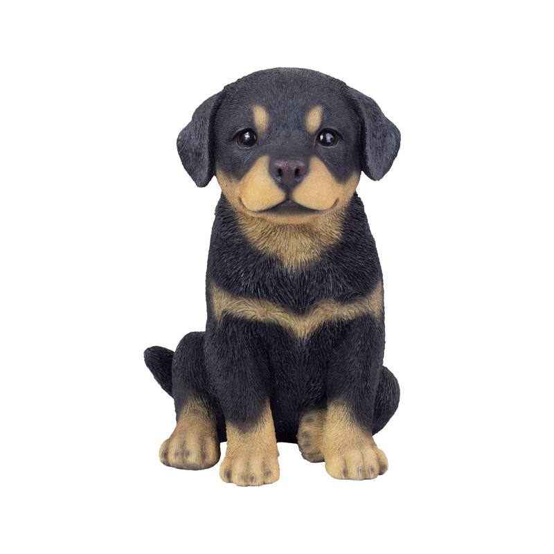 Sitting Rottweiler Puppy Outdoor Garden Statue - 13" - Black