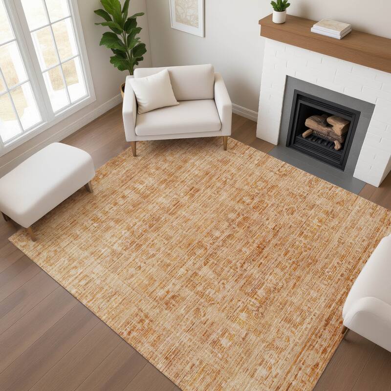 Premium Washable Super Soft Vintage Traditional Mayfield Rug - Coral - 10' x 14'