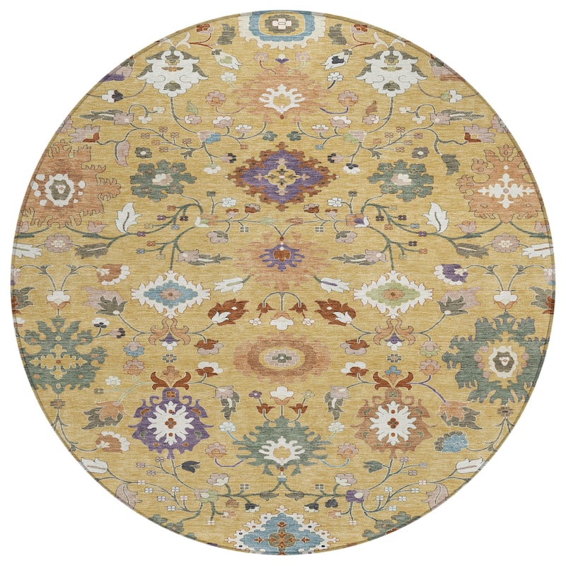 Machine Washable Indoor/ Outdoor Traditional Marci Chantille Rug