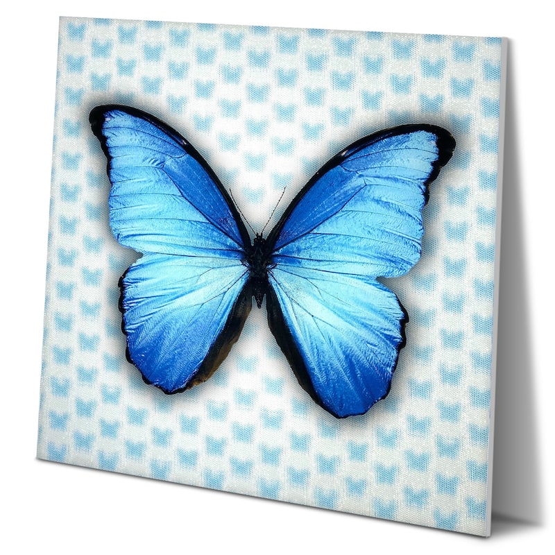 Matashi 5D Multi-Dimensional Wall Art - Custom Made 5D Butterfly Wall Art Print - 16 x 16