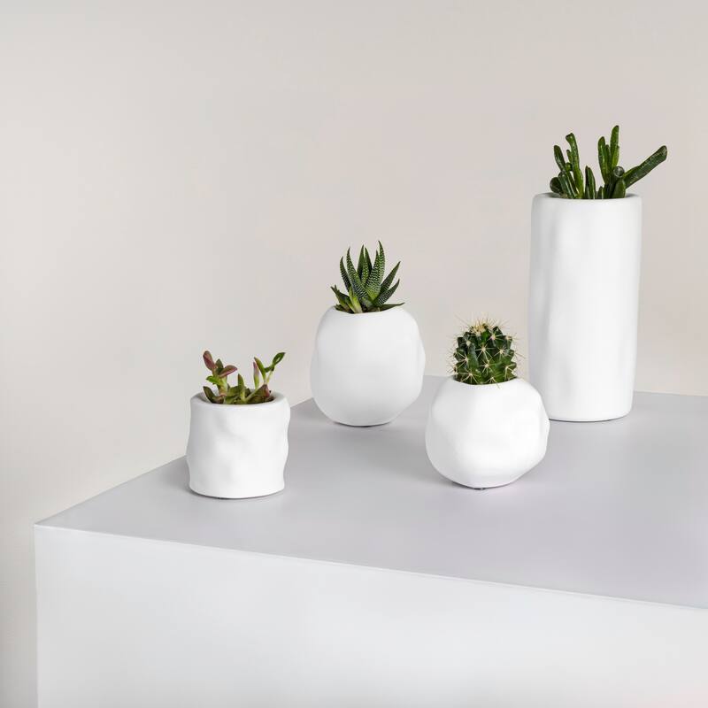 JONATHAN Y Linden Handmade Concrete Organic Sculptural Cylinder and Round Planter Set with Drainage Holes (Set of 4)