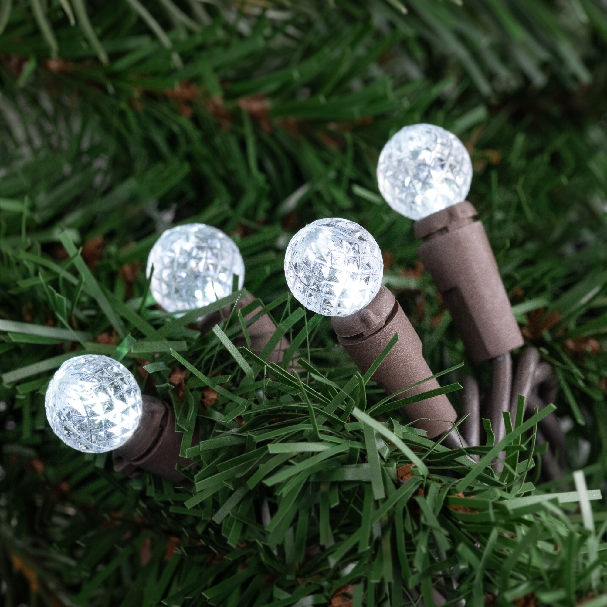 Warm berry christmas lights cheap