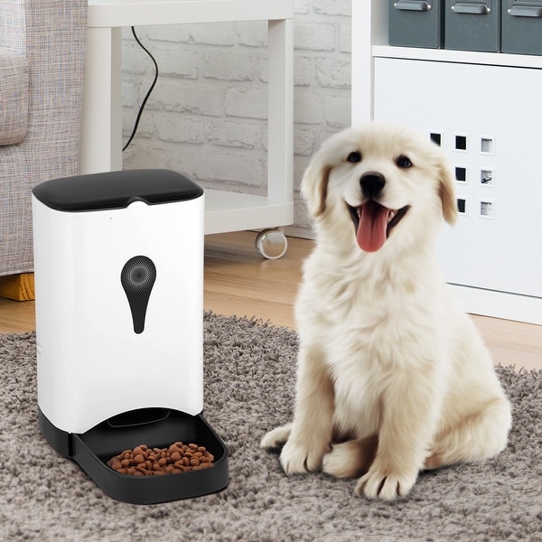 dog pet feeder