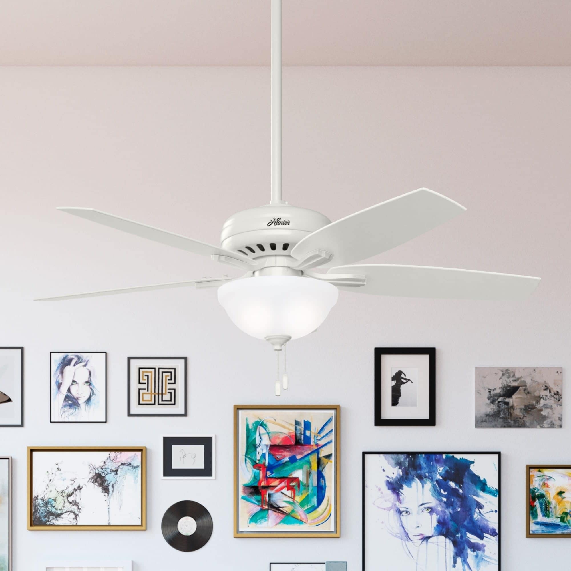 Hunter 52" Newsome Ceiling Fan with LED Bowl Light Kit and Pull Chain