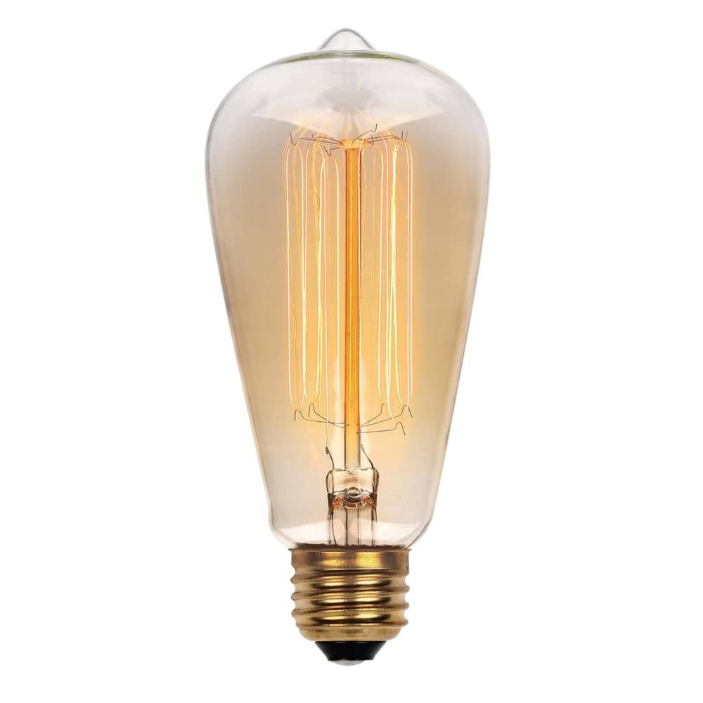 Westinghouse Lighting 60-Watt Clear ST20 Timeless Vintage Inspired Bulb with Medium Base - Warm White