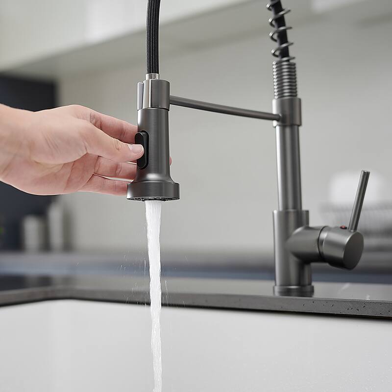 Matte Black Single-Handle Pull-Down Kitchen Faucet