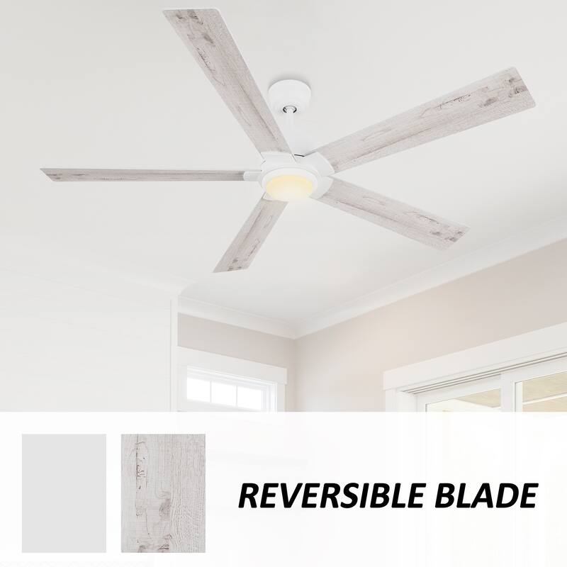 CARRO Livingston 60" 5-Blade Indoor Ceiling Fan with Light and Remote-Downrod