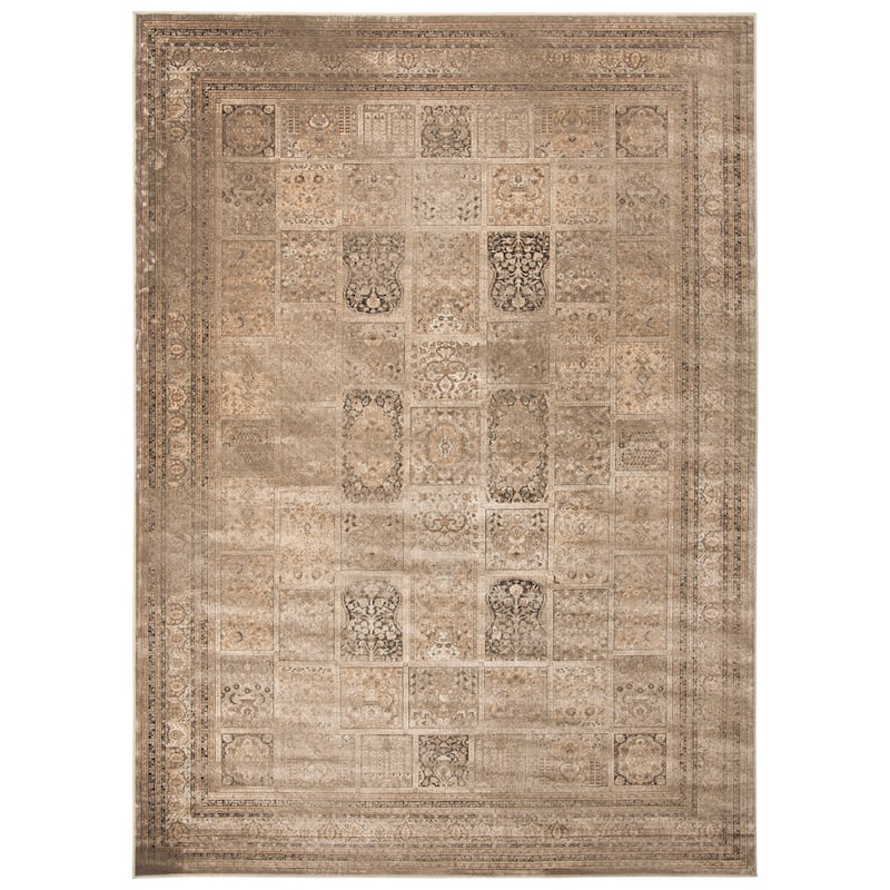 SAFAVIEH Vintage Distressed Boho Donielle Oriental Rug