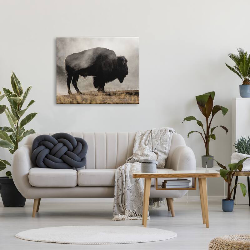 Stupell Powerful Bison Grazing Foggy Rural Pasture Photography Canvas Wall Art, Design by Danita Delimont