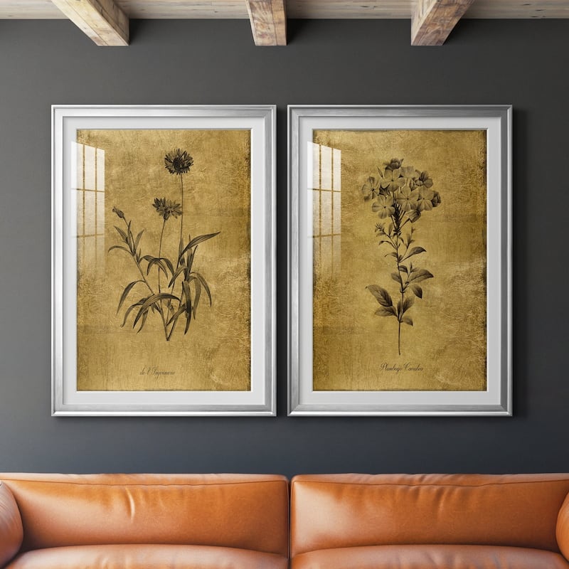 Gold Sketch Botanical I Premium Framed Print - Ready to Hang