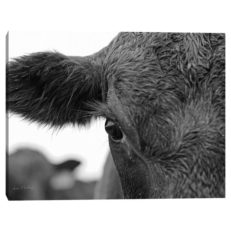 On the Ranch V by Andre Eichman Canvas Art Print