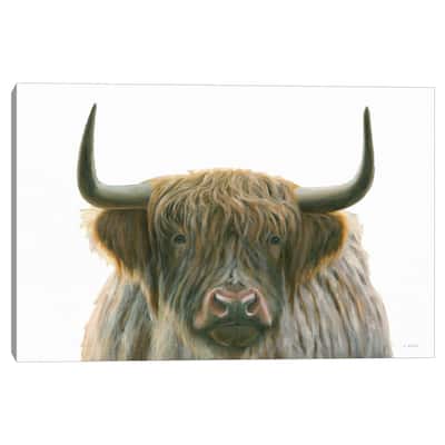 Highlander by James Wiens Canvas Art Print