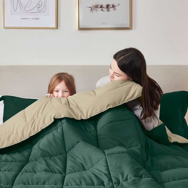 Empyrean All Season Alternative Down Lightweight Reversible Comforter Set