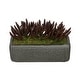 preview thumbnail 2 of 4, Faux Senecio Garden in Black Sandy-Texture Ceramic Vase