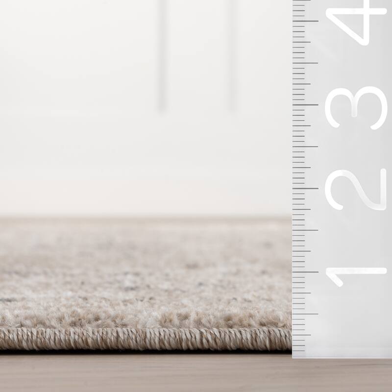 Nuloom Gena Distressed Transitional Medallion Area Rug