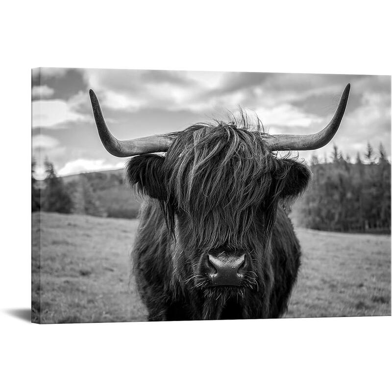 Wall Art Black and White Texas Freedom Highland Cow Pictures - 36 x 24