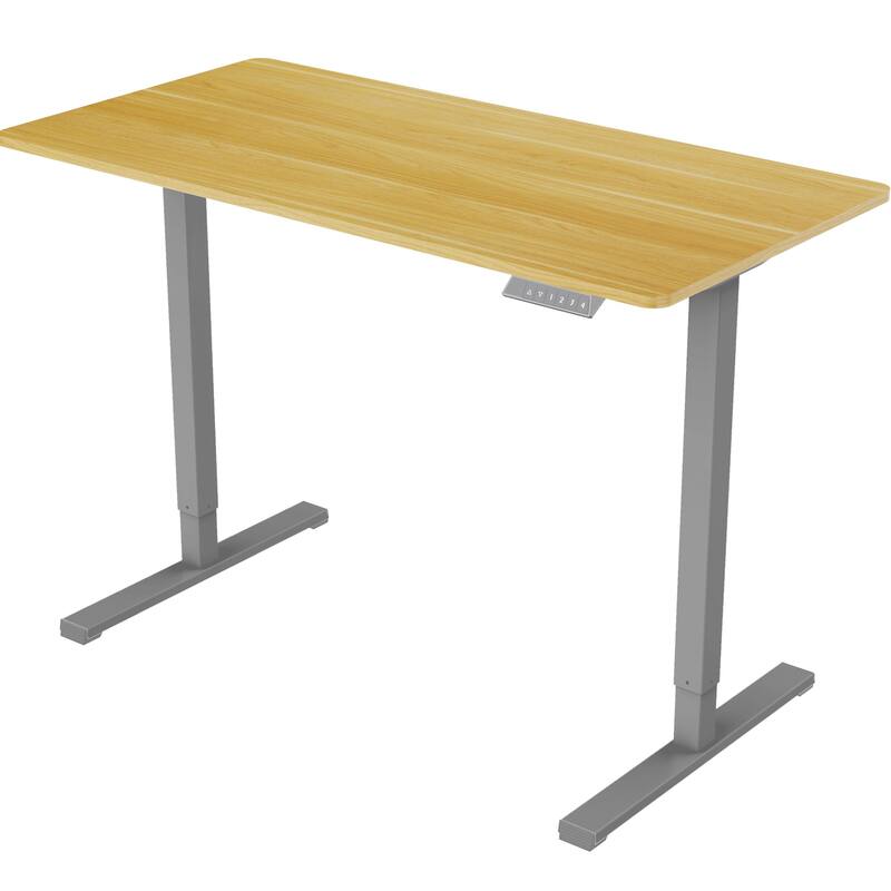 Electric Adjustable Standing Desk, 48x24 Home Office Workstation