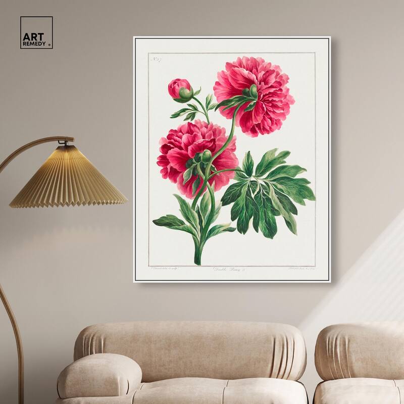 Double Peony (1789) Canvas by Art Remedy