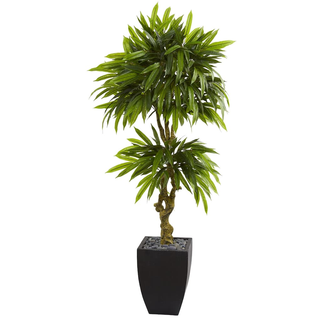5.5ft Mango Artificial Tree in Black Wash Planter with UV Resistant Green Leaves and Gnarled Trunk for Modern Spaces